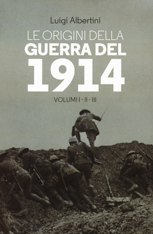 Le origini della guerra del 1914