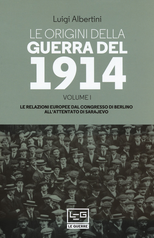 Le origini della guerra del 1914