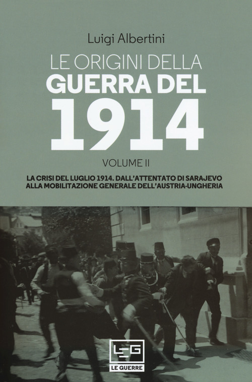 Le origini della guerra del 1914