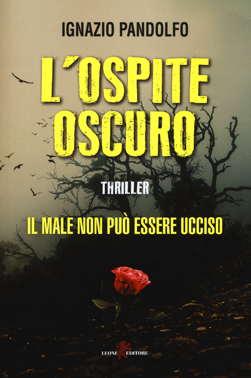 Photo gallery principale