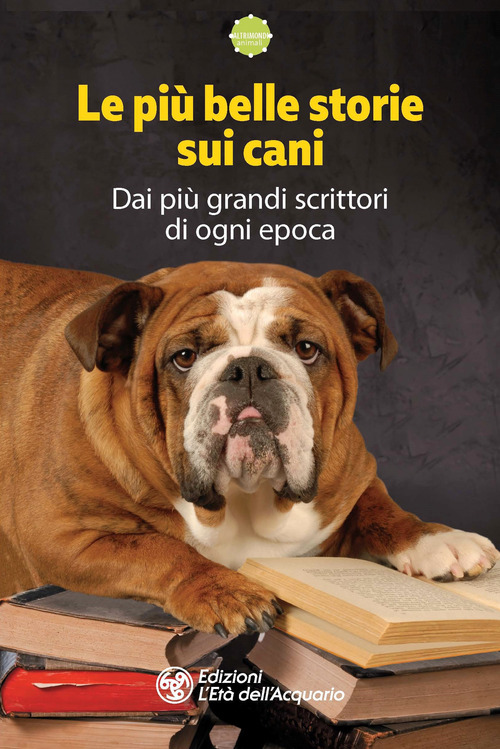 Photo gallery principale