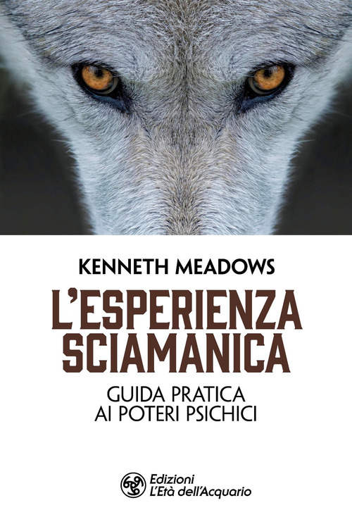 L'esperienza sciamanica. Guida pratica ai poteri psichici