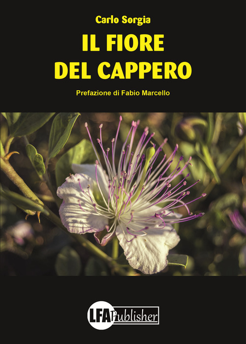 Photo gallery principale