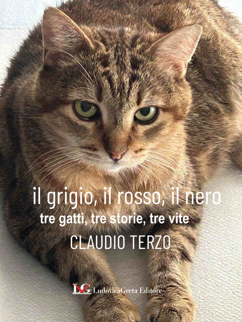 Il grigio, il rosso, il nero. Tre gatti, tre storie, tre vite
