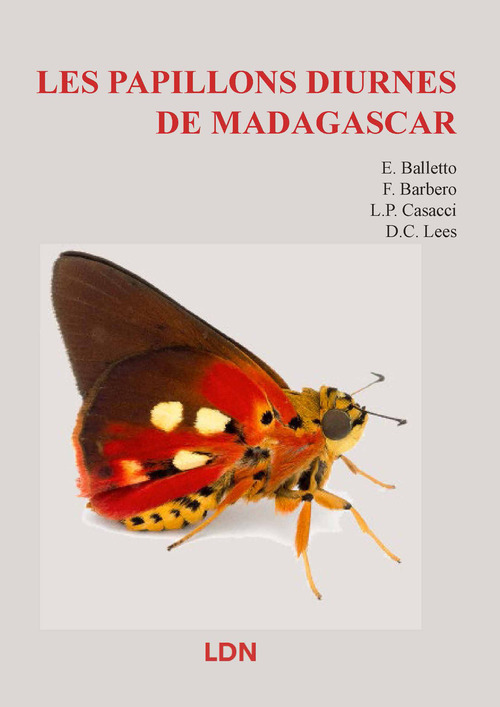Les papillons diurnes du Madagascar