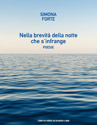 Nella brevit&agrave; della notte che s'infrange