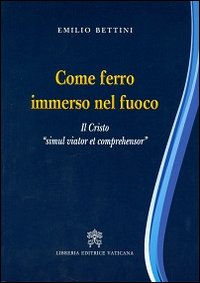 Come ferro immerso nel fuoco. Il Cristo &laquo;simul viator et comprehensor&raquo;