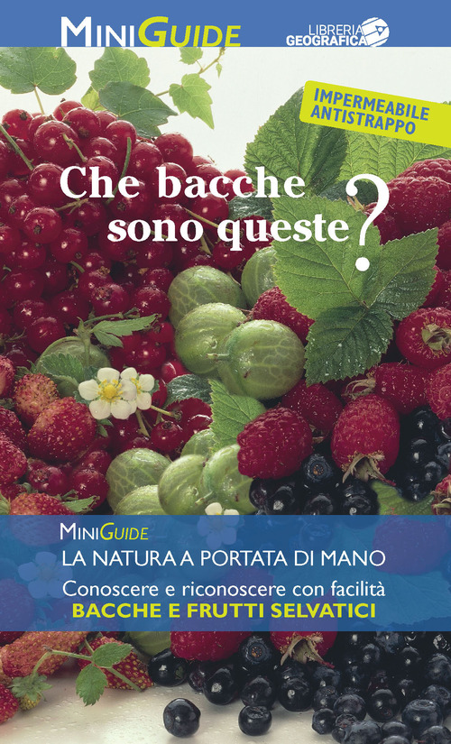 Bacche e frutti selvatici