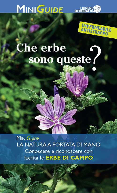 Erbe di campo