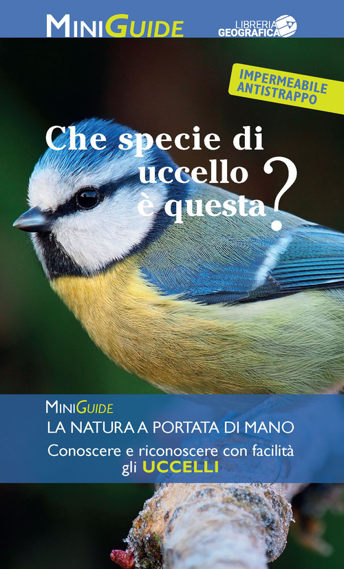 Photo gallery principale