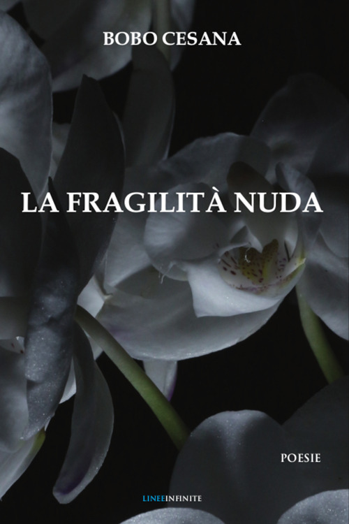 Photo gallery principale