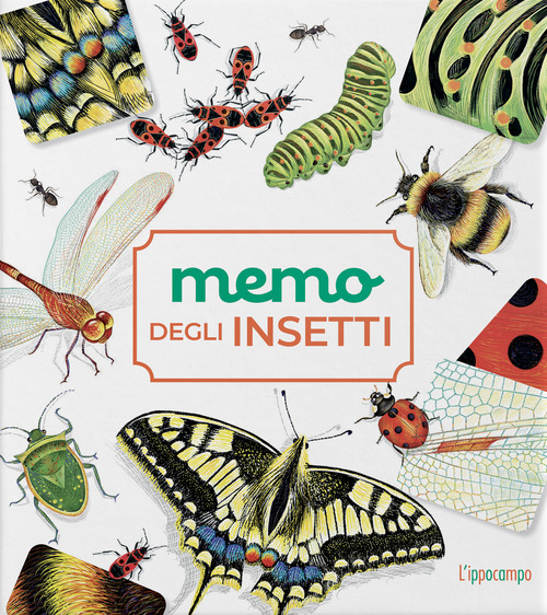 Memo degli insetti