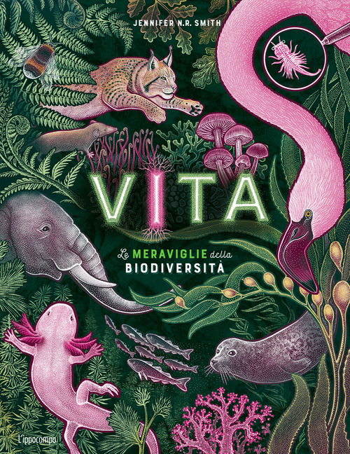 Vita. Le meraviglie della biodiversit&agrave;. Album scoperte
