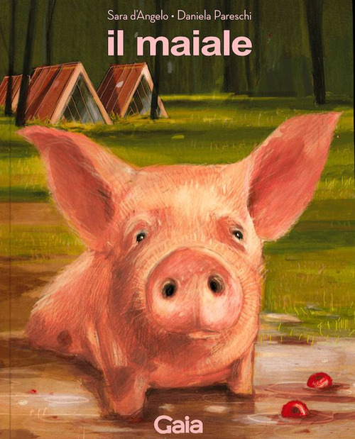 Il maiale