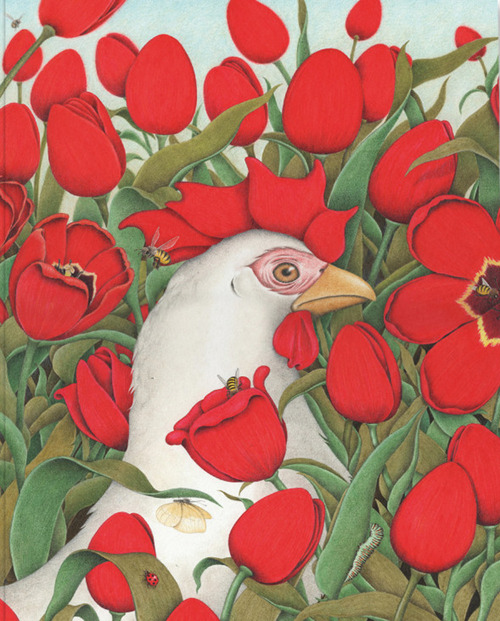 Photo gallery principale