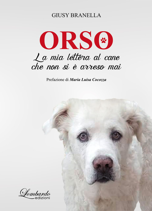 Orso. La mia lettera al cane che non si &egrave; arreso mai
