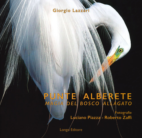Punte Alberete. Magia del bosco allagato