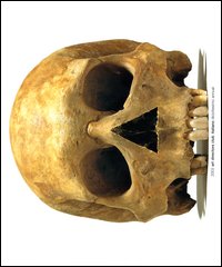 Photo gallery principale