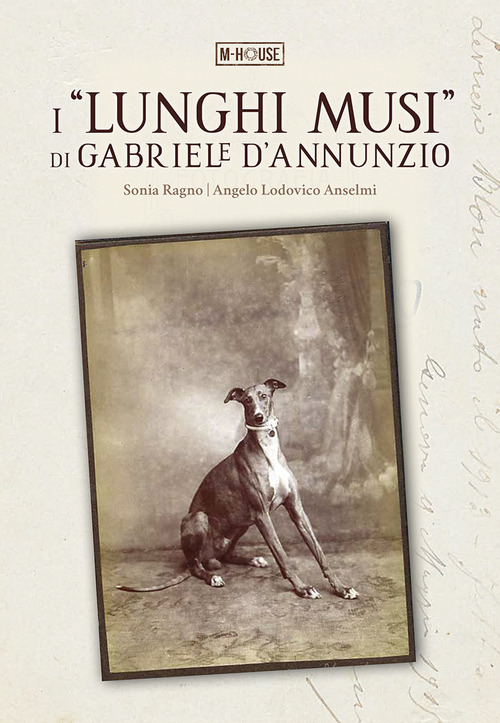 I &laquo;lunghi musi&raquo; di Gabriele d'Annunzio