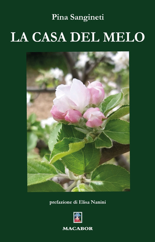 Photo gallery principale