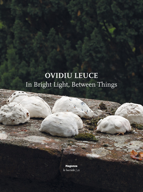 Ovidiu Leuce. In bright light, between things