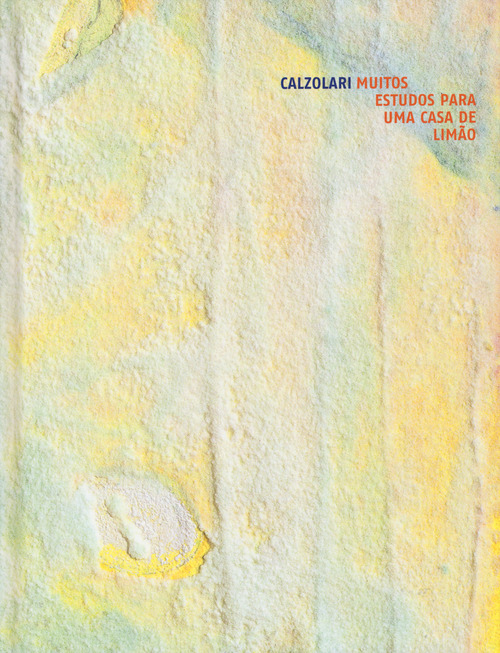 Pier Paolo Calzolari. Muitos estudos para uma casa de lim&atilde;o. Catalogo della mostra (Londra, 1-25 ottobre 2019; D&uuml;sseldorf, 17 gennaio-29 febbraio 2020). Ediz. italiana e inglese