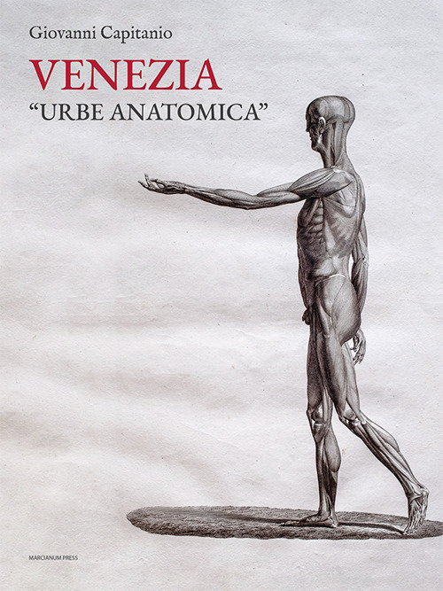 Venezia «urbe anatomica». Itinerari anatomici a Venezia e la Biblioteca della Scuola Grande di San Marco