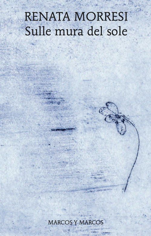 Sulle mura del sole