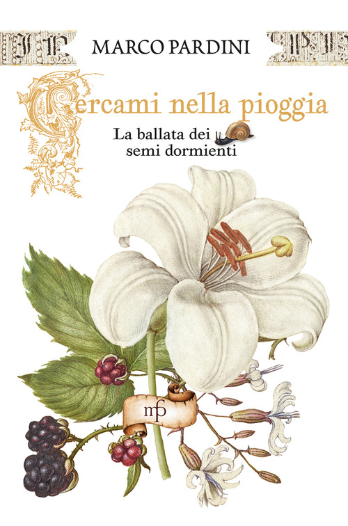 Cercami nella pioggia. La ballata dei semi dormienti