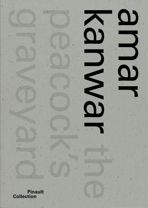 Amar Kanwar. Ediz. italiana, inglese e francese