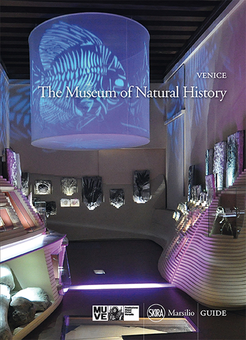 Venice. The Museum of Natural History
