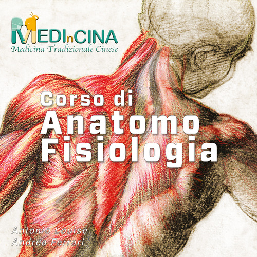 Corso di anatomo-fisiologia. Corso breve di anatomia e fisiologia secondo medicina tradizionale cinese. Audiolibro
