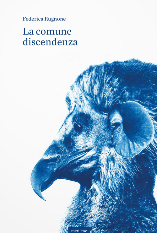 La comune discendenza