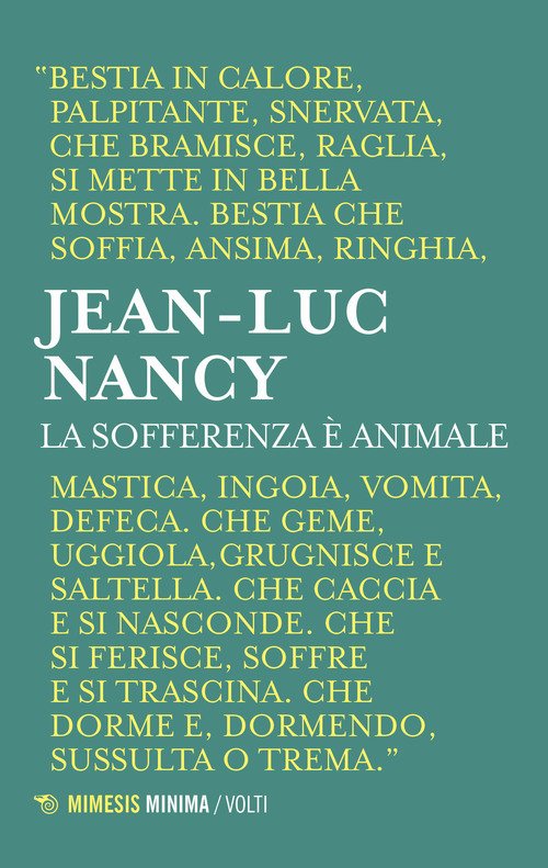 Photo gallery principale