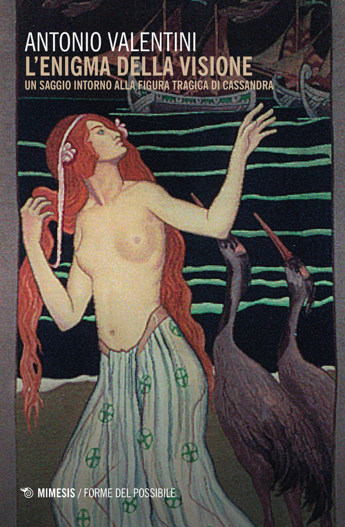 L'enigma della visione