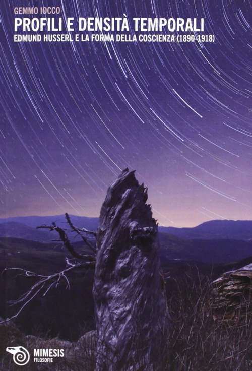 Profili e densit&agrave; temporali. Edmund Husserl e la forma della coscienza (1890-1918)