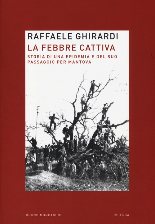 La febbre cattiva. Storia di un'epidemia e del suo passaggio per Mantova