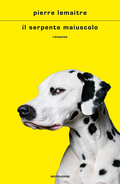 Photo gallery principale