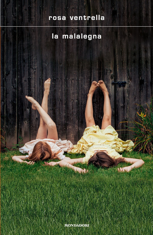 Photo gallery principale