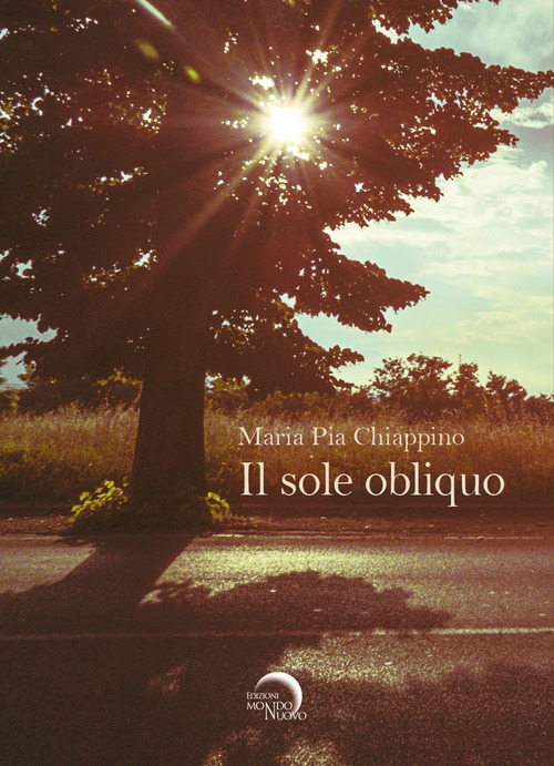Il sole obliquo