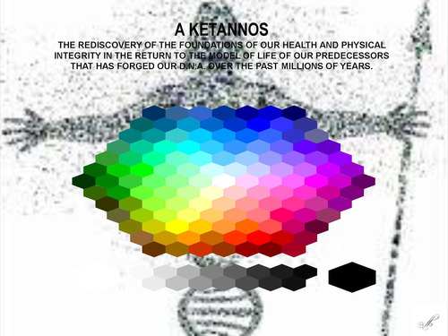 A kentannos. The rediscovery of the foundations of our health and physical integrity in the return to the model of life of our predecessors that has forged our D.N.A. over the past millions of years