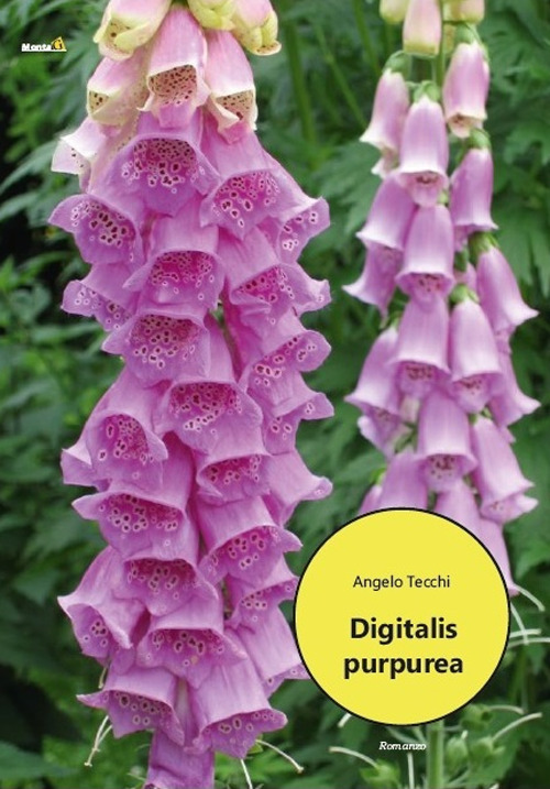 Digitalis purpurea