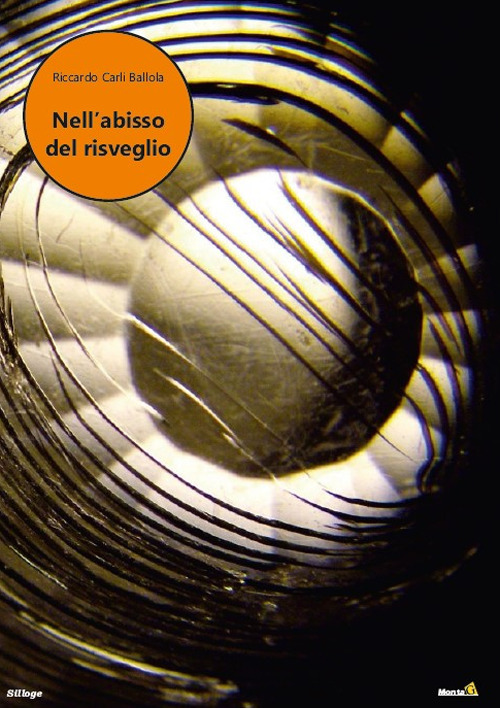 Photo gallery principale