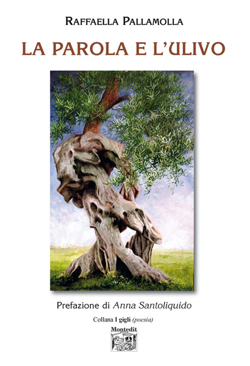 Photo gallery principale