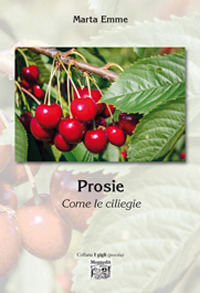 Photo gallery principale