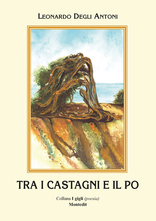 Tra i castagni e il Po