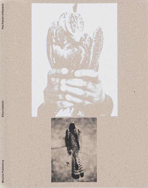 Elisa Caldana: The falcon of Karachi