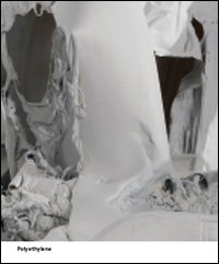 Pawel Althamer. Polyethylene. Common task