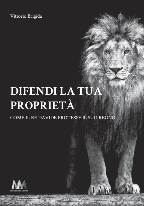 Difendi la tua propriet&agrave;. Come il re Davide protesse il suo regno