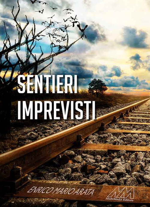 Vol. Sentieri imprevisti. Enrico Mario Arata